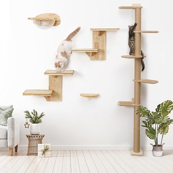 FUKUMARU Cat Wall Shelves, 2 Platform Kitten Wall Furniture, Tree Shape Wall-Mounted Floating Shelf with Sisal Mat, Solid Rubber Wood Cats Perch for 16 Inch Drywall, Suitable for Climb, Play, Nap-PawvioPets