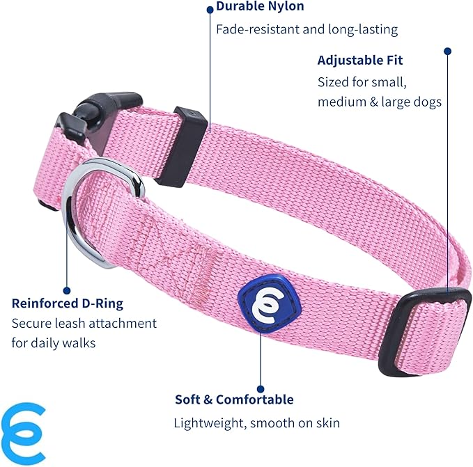 Blueberry Pet Essentials Small Dog Collar in Fuchsia Pink | Adjustable & Eco-Friendly Durable Nylon Strap | Classic Collar for Small Dogs, Boy & Girl Pets-PawvioPets