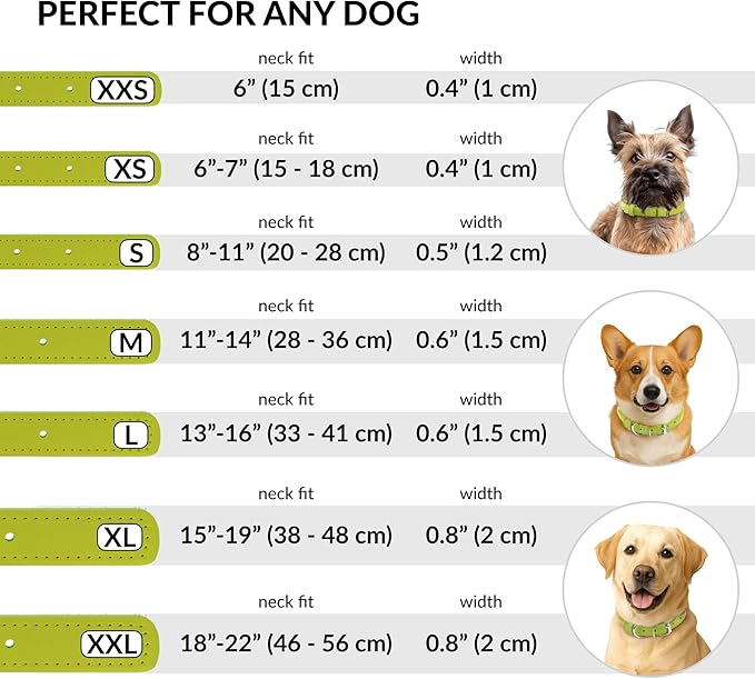 CollarDirect Rolled Leather Dog Collar, Soft Padded Round Puppy Collar, Handmade Genuine Leather Collar Dog Small Large Cat Collars 13 Colors (15-19 Inch, Lime Green Smooth)-PawvioPets