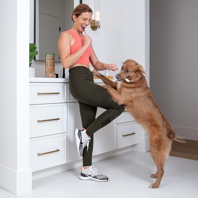 Dog Toothbrush I 4-Pack Two Sided Bamboo Toothbrush for Small and Large Dogs & Cats I Soft Bristles Gentle for Easy Dog Teeth Brushing & Dental Care-PawvioPets