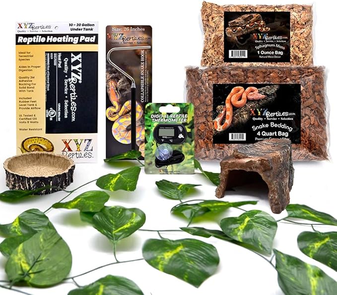 Boa Constrictor Habitat 10 Gallon Terrarium Kit-PawvioPets