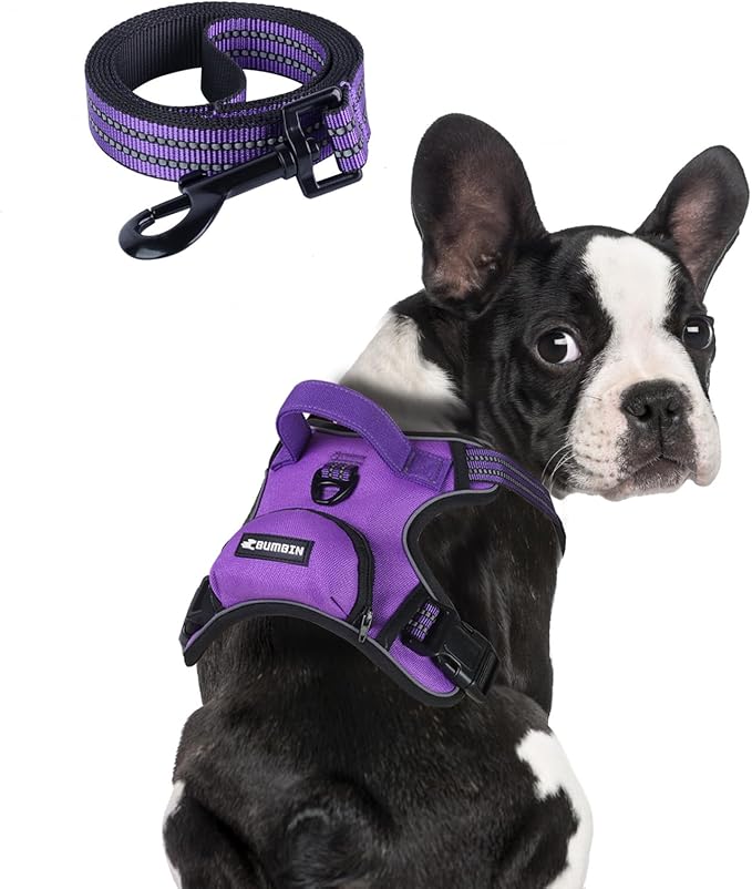 BUMBIN Dog Harness for Large Dogs, No Pull Adjustable No Choke Pet Vest with Dog Leash Fit Smart Reflective Pet Walking Harness for Training Easy Control Soft Handle Purple S-PawvioPets