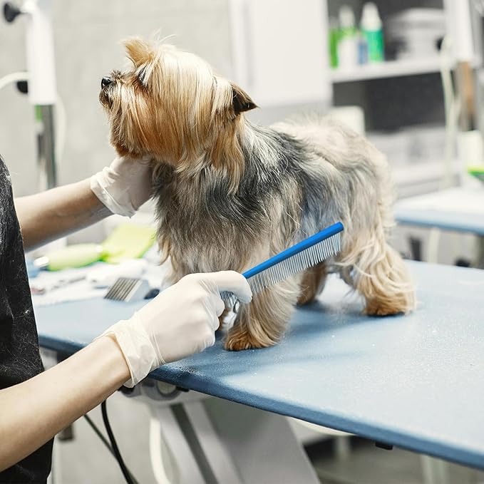 2 Pack Dog Combs with Stainless Steel Teeth Applicable to Cat Dog Comb Removing Tangles Easily Remove Dirt Grooming Anti-Slip Comfort Grip Handle （blue）-PawvioPets