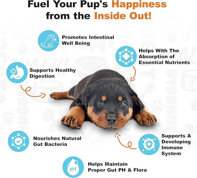 Doggie Dailies Puppy Probiotic, Probiotics for Puppies with Digestive Enzymes, Promotes Digestive Health, Supports Immune System & Overall Development (Pumpkin) 120 Soft Chews-PawvioPets