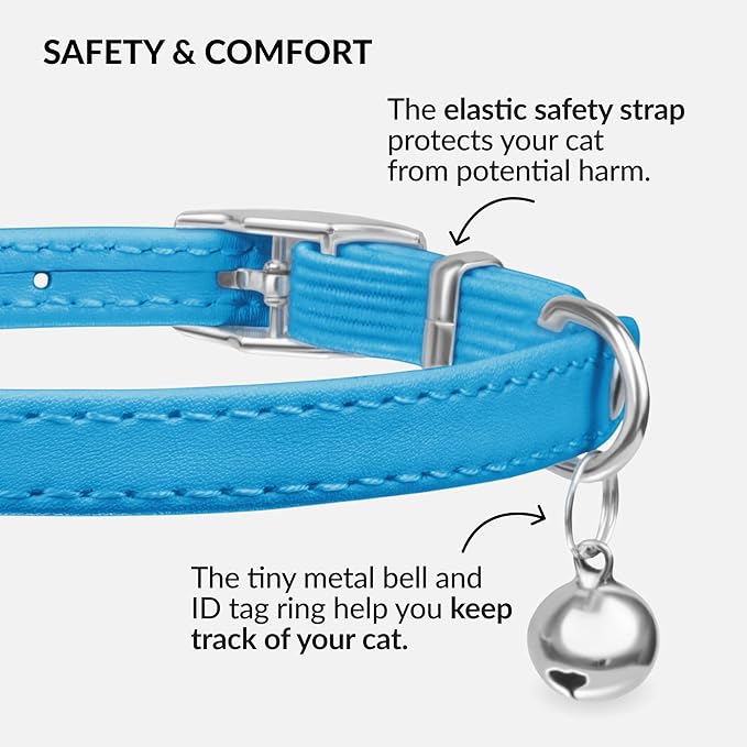 CollarDirect Leather Cat Collar with Bell - Kitten Collar, Small and Big Cat for Boy Cats, Girl Cats with Safety Elastic Strap (Neck Fit 6"-7", Light Blue)-PawvioPets