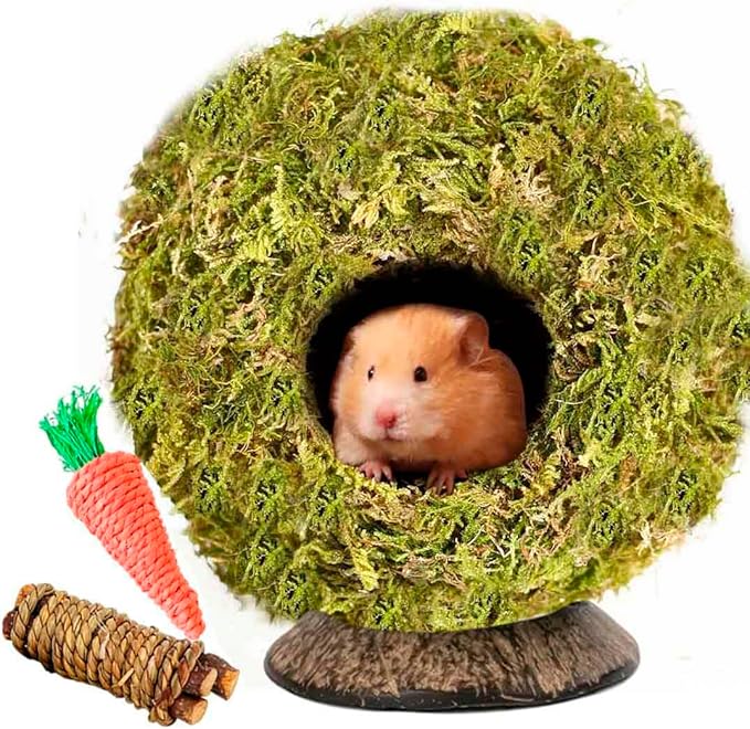 Coconut Hamster Hideout Hamster House Gerbil Cage for Small Animals with a Bundle of Apple Sticks a Carrot (Yellow)-PawvioPets