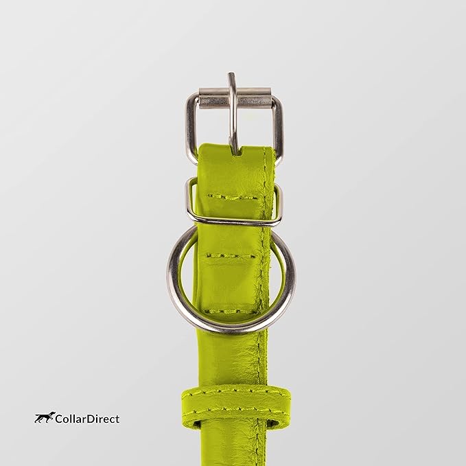 CollarDirect Rolled Leather Dog Collar, Soft Padded Round Puppy Collar, Handmade Genuine Leather Collar Dog Small Large Cat Collars 13 Colors (13-16 Inch, Lime Green Textured)-PawvioPets