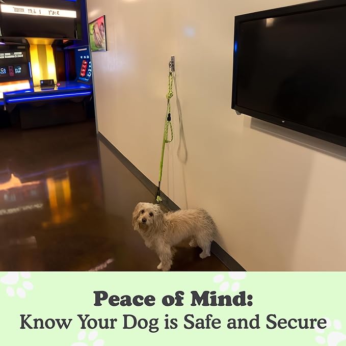 Canine Hitch- Secure Dog Leash Parking Wall Slim Hook with Clip 6 Pack - Tie Out Stainless Steel & ABS Mounting Plate for Strength - Practical Lead Management for Home & Business-PawvioPets