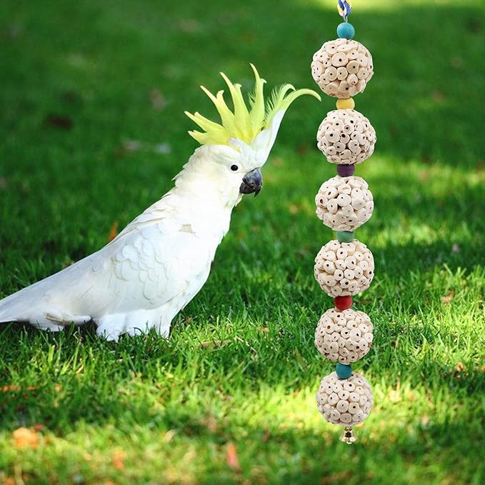 Bird Chewing Toy, Bird Sola Ball Toy with Bell, Bird Cage Accessories, Cage Toys for Cockatiel Parakeet Parrot Budgies Rat Hamster Chinchilla Rabbit Bunny African Grey-PawvioPets