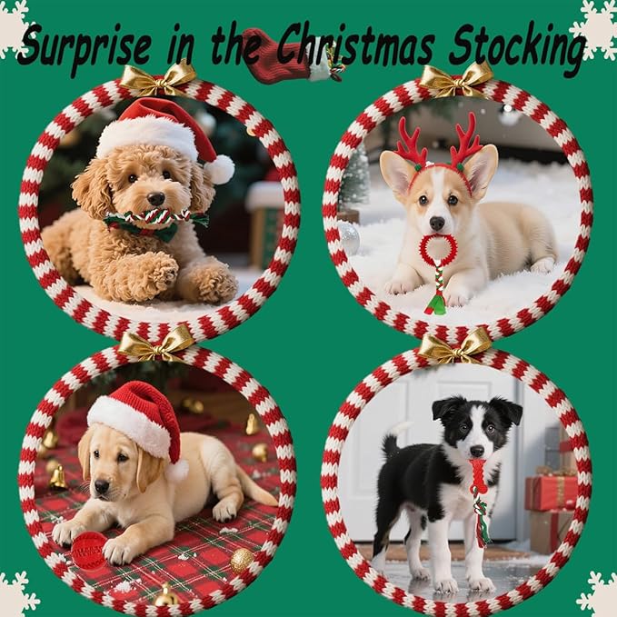 Dog Toys 15 Pack for Teeth Cleaning and Fun, Puppy Teething Chew Toys Tug Rope Squeaky Treat Balls & Rubber Tous Bulk– Variety Dog Gifts Set Reduce Anxiety & Save Furniture, Christmas-PawvioPets