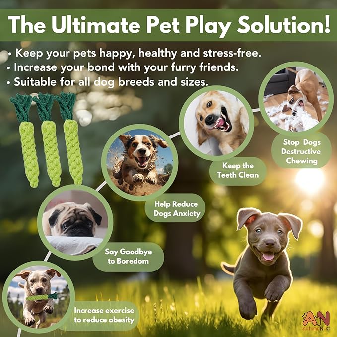 3PCS Green Woven Pet Chew Set, Dog Chew Accessories, Cat Interactive Chews, Safe & Durable Braided Chews for Dogs, Cats & More Pets-PawvioPets