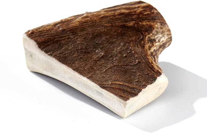 Buck Bone Organics Dog Chews, Moose Antlers for Dogs, Long Lasting Dog Bones for Aggressive Chewers, All Natural, No Preservatives, Wild Shed in The USA (Medium)-PawvioPets