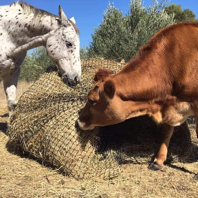 Aoneky Bale Hay Net -Average Feed Haynet for Horses-PawvioPets
