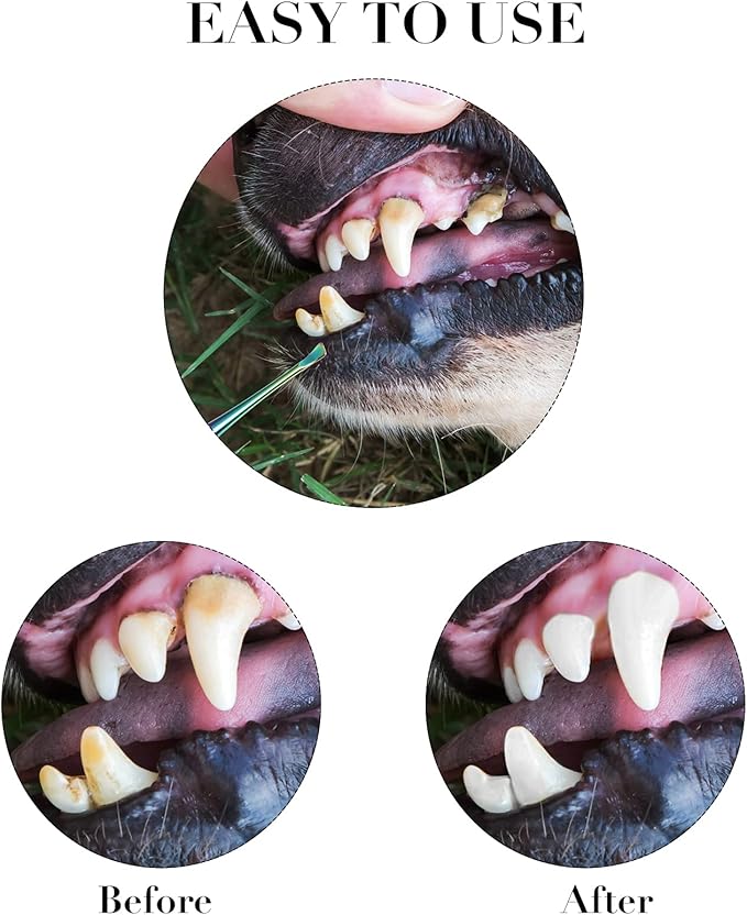 3 Pieces Dog Dental Tooth Scaler and Scraper Stainless Double Headed Tarter Removing Tool Scraper Pet Teeth Cleaning Tools for Dog and Cat (Rainbow Color)-PawvioPets