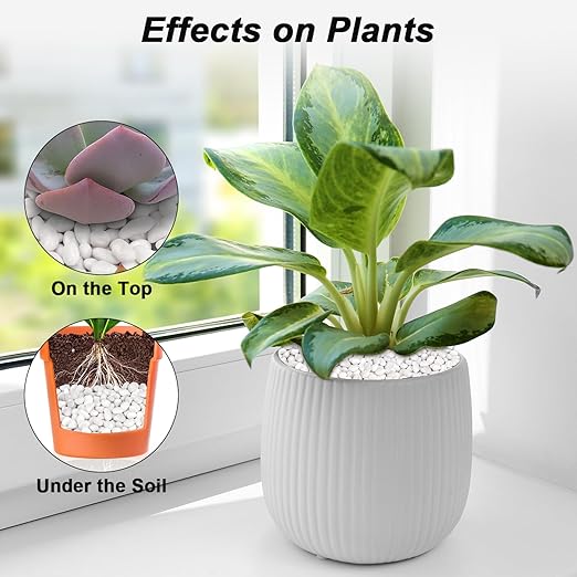 Aquarium Gravel,Landscaping Pebbles, Decorative Ornamental Pebbles Garden,Landscaping Stones Gravel Filler for Home Decoration Flower Bed Fish Tank Plants Vases Succulents (10 Pounds, White)-PawvioPets