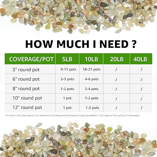 5 LBS Decorative Jade Stones – Ideal for Succulent Cactus Plants, Vase Fillers, Fish Tanks, and Landscaping Projects. 1/5 Inch Stones Promote Healthy Plant Growth (Jade, 5 Pounds)-PawvioPets