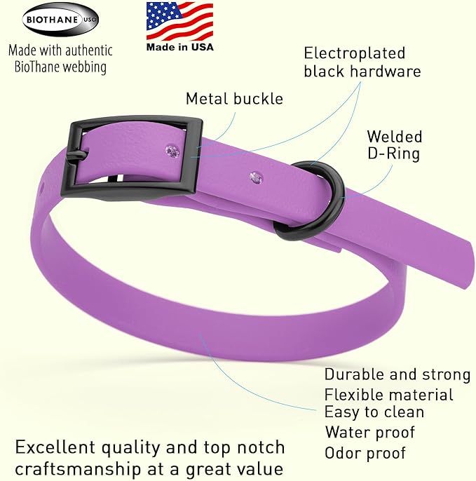 Dogline Biothane Waterproof Dog Collar Strong Coated Nylon Webbing with Black Hardware Odor- Proof for Easy Care Easy to Clean High Performance Fits Small Medium or Large Dogs, Amethyst Purple-PawvioPets