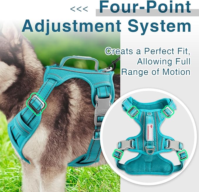 BARKBAY Dog Harness No Pull with ID Tag Pocket - Heavy Duty, Reflective, Easy Control for Large Dogs(Ocean Blue,L)-PawvioPets