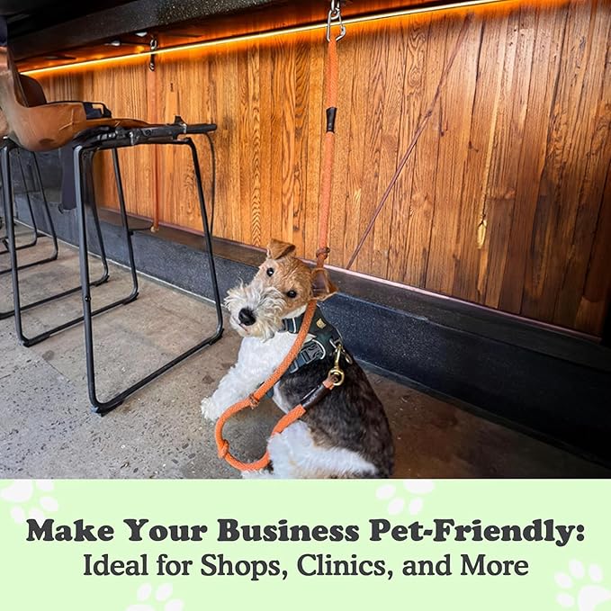 Canine Hitch- Secure Dog Leash Parking Wall Slim Hook with Clip 2 Pack - Tie Out Stainless Steel & ABS Mounting Plate for Strength - Practical Lead Management for Home & Business-PawvioPets