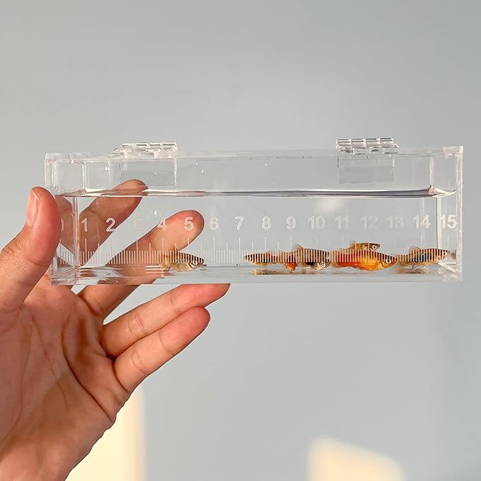 Fish Viewing Box Container with Lid and Scale, Acrylic Portable Fishing Mini Aquarium, Small Fish Breeder Hatching Boxes, Safe Tank Case for Breeding Egg Photo Isolation Outdoor Indoor-PawvioPets