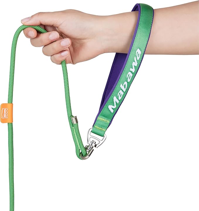 Dog Anti-Slip Leash 5FT with Metal Stopper - Durable No-Pull Training Lead for Small, Medium & Large Dogs - Comfortable Handle Nylon Rope, Tangle-Free Pet Walking Leash (Green, 5.6FT)-PawvioPets
