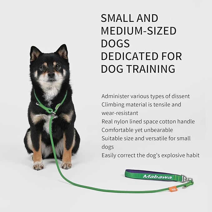 Dog Anti-Slip Leash 5FT with Metal Stopper - Durable No-Pull Training Lead for Small, Medium & Large Dogs - Comfortable Handle Nylon Rope, Tangle-Free Pet Walking Leash (Green, 5 FT)-PawvioPets