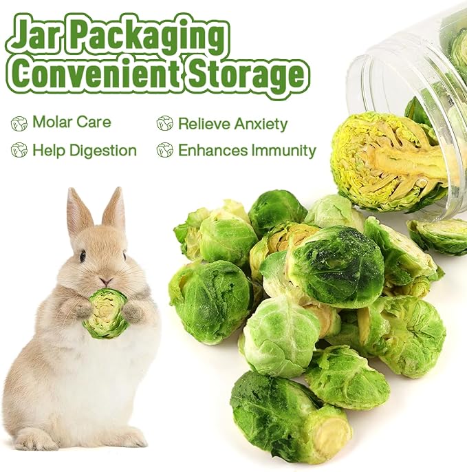 Abizoo Freeze Dried Brussels Sprouts Rabbit and Hamster Chew Treats Resealable Jar for Hamsters Bunny Guinea Pigs Groundhogs Natural Fiber Vitamin Snacks-PawvioPets