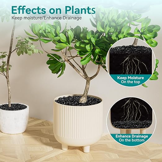 2.5 lbs Black Pebbles for Indoor Plants, 3/8" Small Rocks for Plants Indoor, Succulent, Bamboo, Vase, Decorative Black River Rocks Pea Gravel, Highly Polished-PawvioPets