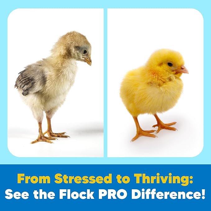 Flock PRO Chick Boost Probiotic - Probiotics, Vitamins, Minerals and Electrolytes for Chickens | Chicken Vitamins and Supplements for All Poultry - 3Oz-PawvioPets