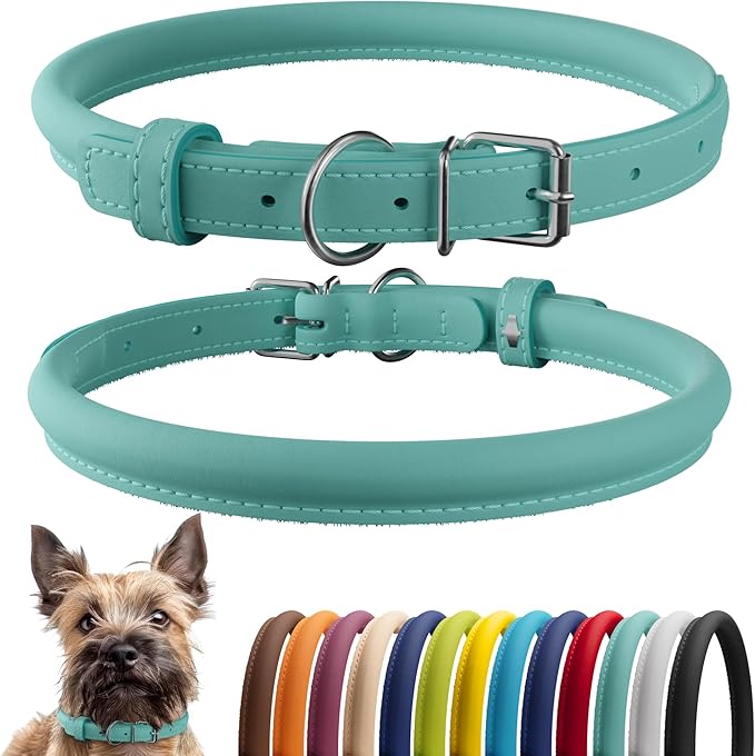 CollarDirect Rolled Leather Dog Collar, Soft Padded Round Puppy Collar, Handmade Genuine Leather Collar Dog Small Large Cat Collars 13 Colors (6 Inch, Mint Green Smooth)-PawvioPets