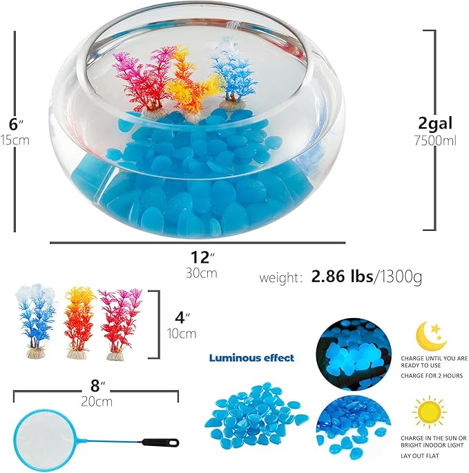 2 Gallon Glass Fish Bowl with Decor, Include Fluorescent Stones & Colorful Plastic Trees, High White Glass for Clear View, Small Fish Bowl/Vase/Aquarium for Betta Fish/Goldfish, Nice Home Décor-PawvioPets