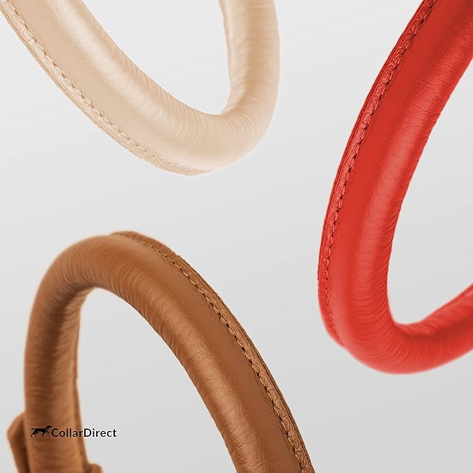 CollarDirect Rolled Leather Dog Collar, Soft Padded Round Puppy Collar, Handmade Genuine Leather Collar Dog Small Large Cat Collars 13 Colors (15-19 Inch, Red Textured)-PawvioPets