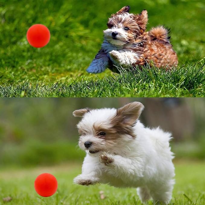 5 Different Functions Interactive Dog Toys for Puppies, Puppy Puzzle Toys for Small Dogs, Dog Balls for Small Dogs, Treat Dispensing Dog Toys, Squeaky Ball, Small Breed-PawvioPets