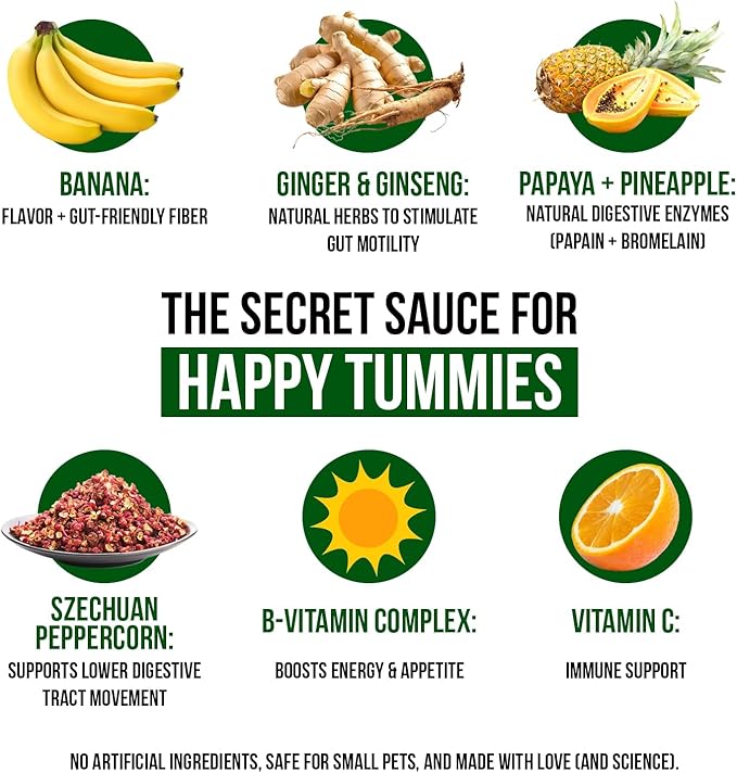 Digestive Support, Papaya by Sherwood Pet Health (100 Tablets - 60 Grams). Contains Natural Motility Herbs That Regulate The Digestive Tract, Improve The Gut microbiome and Stimulate The Appetite.-PawvioPets