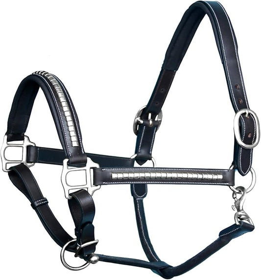 Exion Leather Horse Halter with Padding & Clincher Studs – Adjustable Quick‑Release Crownpiece Halter for Horses – Vegetable‑Tanned Leather in Black & Brown – Cob, Full & Oversize-PawvioPets