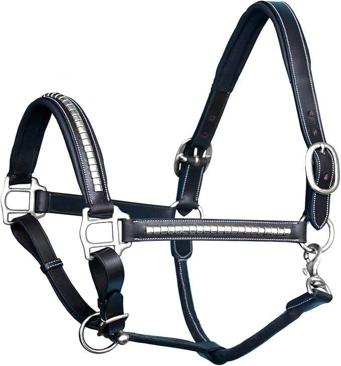Exion Leather Horse Halter with Padding & Clincher Studs – Adjustable Quick‑Release Crownpiece Halter for Horses – Vegetable‑Tanned Leather in Black & Brown – Cob, Full & Oversize-PawvioPets