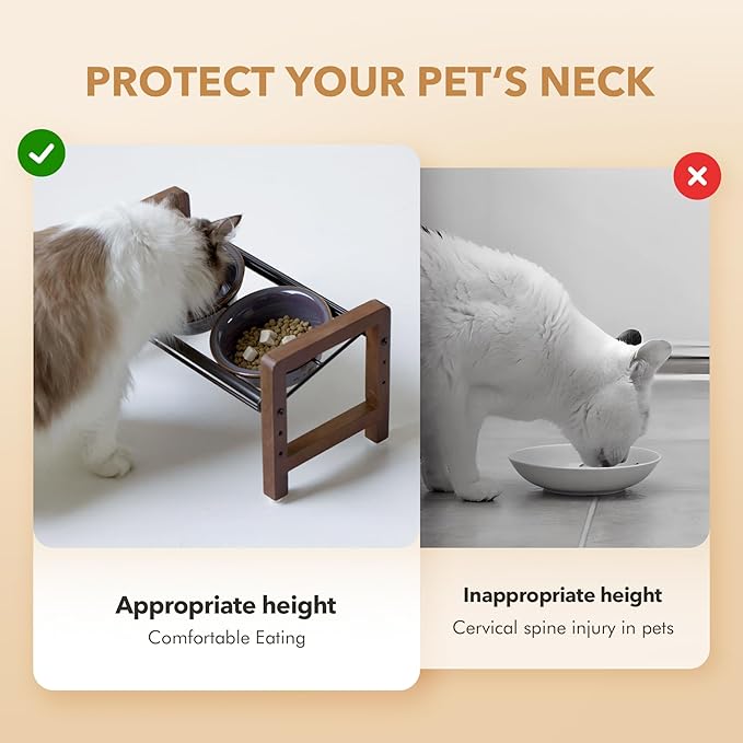 5.5inch Ceramic Adjustable Raised Double Bowls Set with Stand, 3 Heights Elevated, 2 Placement Options, Food and Water Dishes for Puppy, Cats（Double Bowls+Stand, Reactived Glaze -Grey-PawvioPets