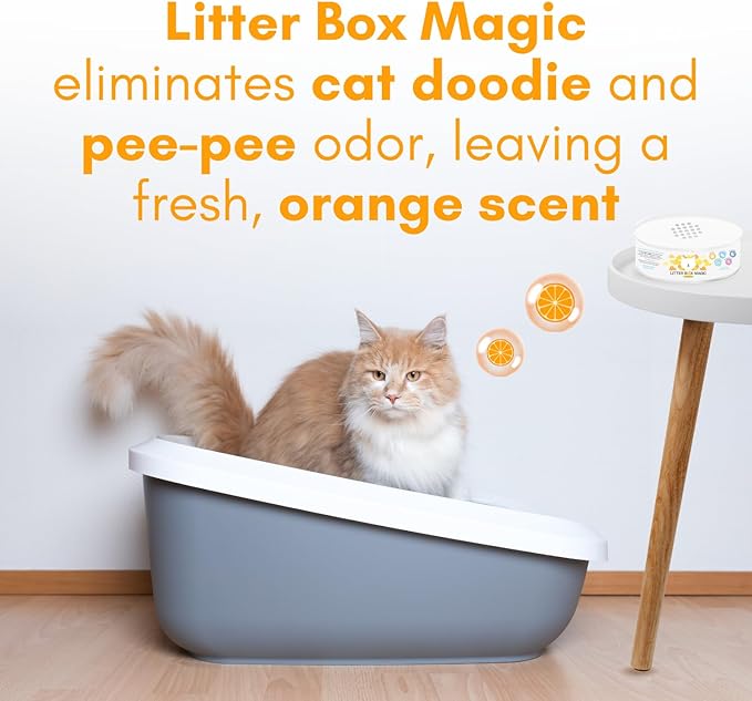 Cat Litter Deodorizer Jar (Orange Scent, 16 Oz, Pack of 2) - Cat Litter Odor Control Gel In A Jar - Cat Litter Box Pet Air Freshener - Litter Odor Eliminator to Freshen Air-PawvioPets