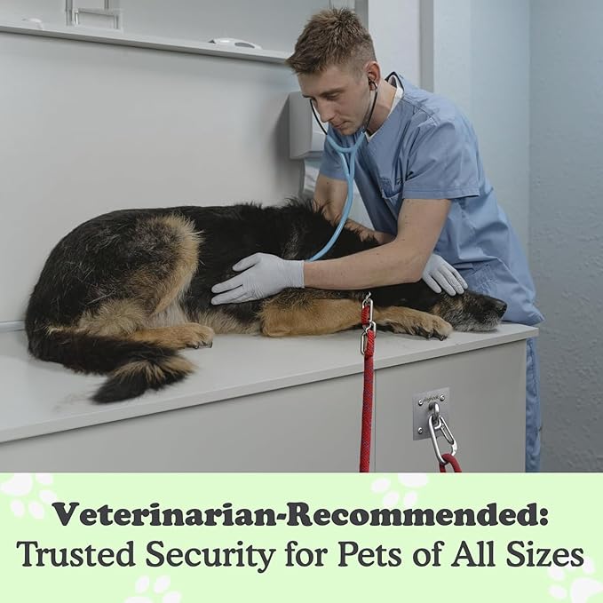 Canine Hitch- Secure Dog Leash Parking Wall Large Hook with Clip 2 Pack - Tie Out Stainless Steel & ABS Mounting Plate for Strength - Practical Lead Management for Home & Business-PawvioPets