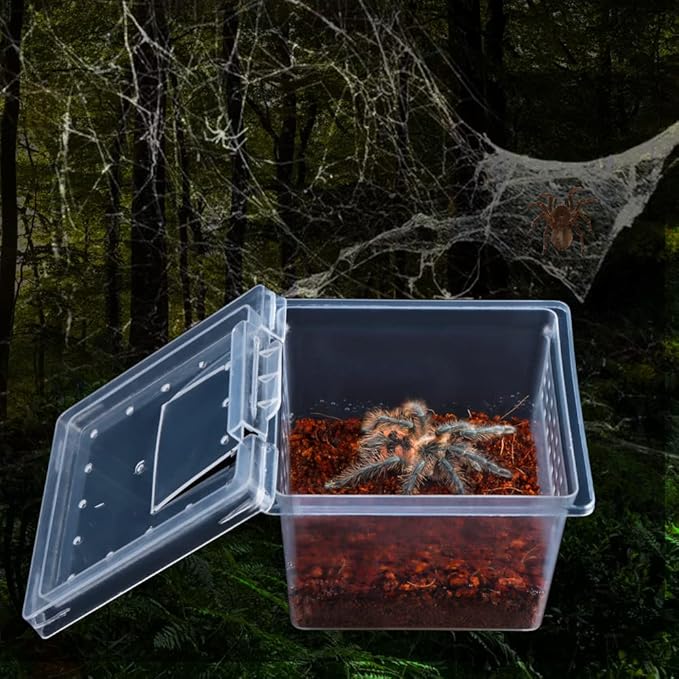 10 Pack Spider Terrariums Breeding Box Small Reptile Hatching Container Acrylic Feeding Box for Arboreal Spider Tarantula Mantis Scorpion Centipede Insect (5 High+5 Small)-PawvioPets
