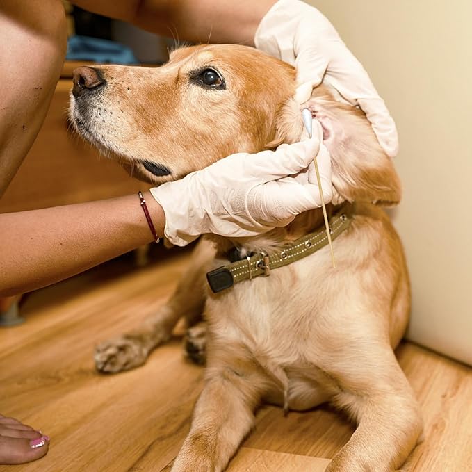 200-Pack of Long, Large Dog Ear Swabs with Bamboo Sticks: Perfect for Dog Ear Cleaning and Infection Treatment. Gentle, Effective, and Eco - Friendly for Pet Hygiene-PawvioPets