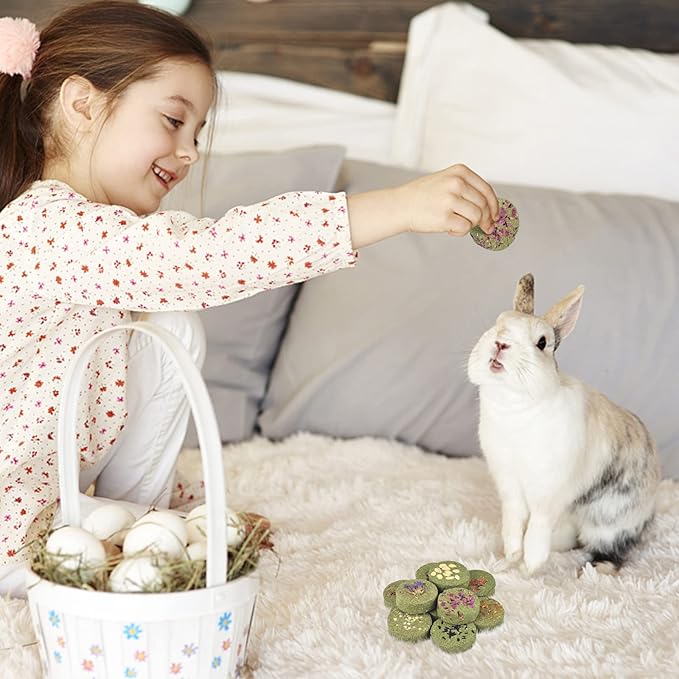 ERKOON Treats Rabbit Toys, 100% Edible Premium Timothy Hay Chew A Blocks for Rabbits, Chinchilla Treats, Chew Toys for Teeth Guinea Pigs and Mice-PawvioPets