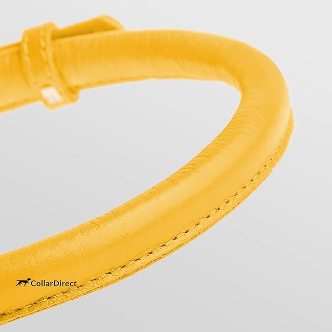 CollarDirect Rolled Leather Dog Collar, Soft Padded Round Puppy Collar, Handmade Genuine Leather Collar Dog Small Large Cat Collars 13 Colors (18-22 Inch, Yellow Textured)-PawvioPets