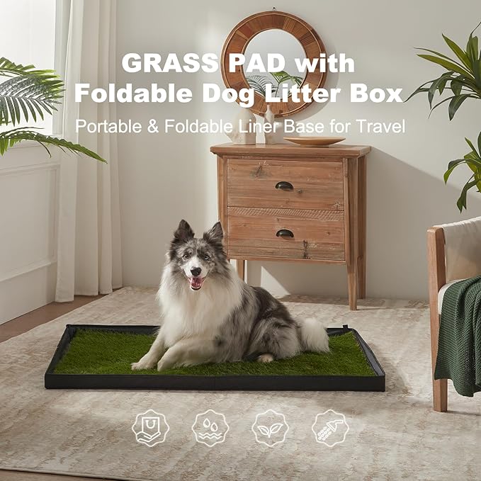 Dog Grass Pad with Foldable Dog Litter Box, Extra Large Liner Base (44”×34”) for Balcony, 2 Artficial Grass Pee Pads for Dogs, Pee Pad Holder, Potty Training-PawvioPets
