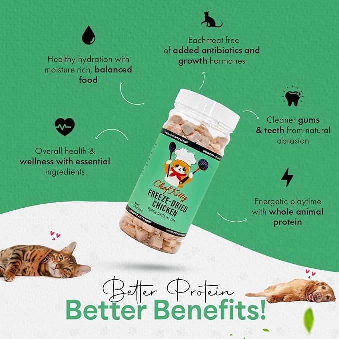 Freeze-Dried Chicken Treats for Cats & Dogs – 100% Human Grade, Single Ingredient, High-Protein, Healthy Snack – No Additives or Preservatives – 1.7oz - Inspected & Tested in USA-PawvioPets