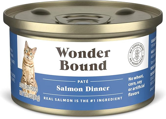 Amazon Brand - Wonder Bound Wet Cat Food, Pate, No Added Grain, (Salmon), 3 ounce (Pack of 24)-PawvioPets