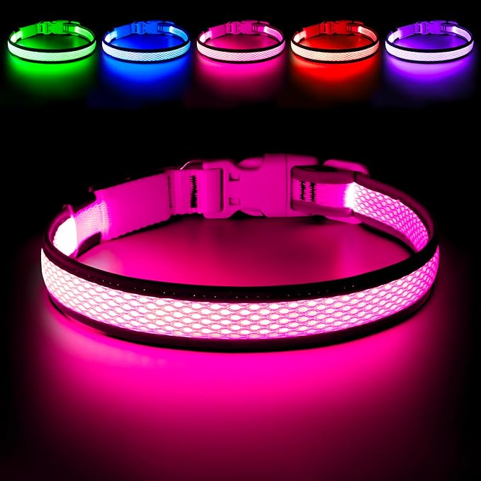 Flashseen LED Dog Collar, Light Up Dog Collar USB Rechargeable, Brightest Dog Lights for Night Walking, Adjustable Dog Collar Light for Dog Safety(Small, Candy Pink)-PawvioPets