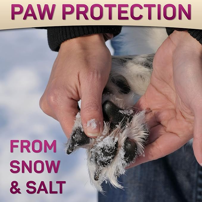Dog Paw Balm for Dry Cracked Paws – Lick-Safe Moisturizer and Organic Paw Wax with Aloe & Vitamin E – Hot Pavement and Winter Snow Protection – Nose Safe – for All Breeds-PawvioPets