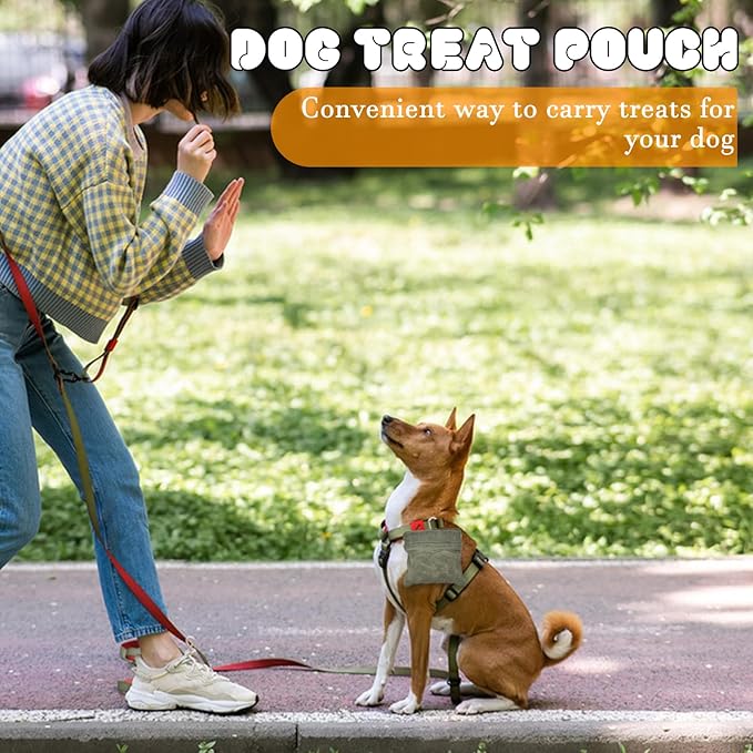 CONLI Dog Treat Pouch Portable Treat Pouches for Pet Training, Dog Training Treat Pouch with Carabiner, Auto Closing Pet Feed Snack Reward Pocket for Pet Travel or Outdoor Use-PawvioPets