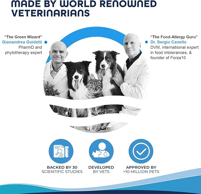 Forza10 Active Intestinal Support Diet Dry Cat Food for Adult Cats, Cat Food Dry for Upset Stomach, Diarrhea and Intestinal Disorders, Wild Caught Anchovy Flavor, 4 Pound Bag-PawvioPets